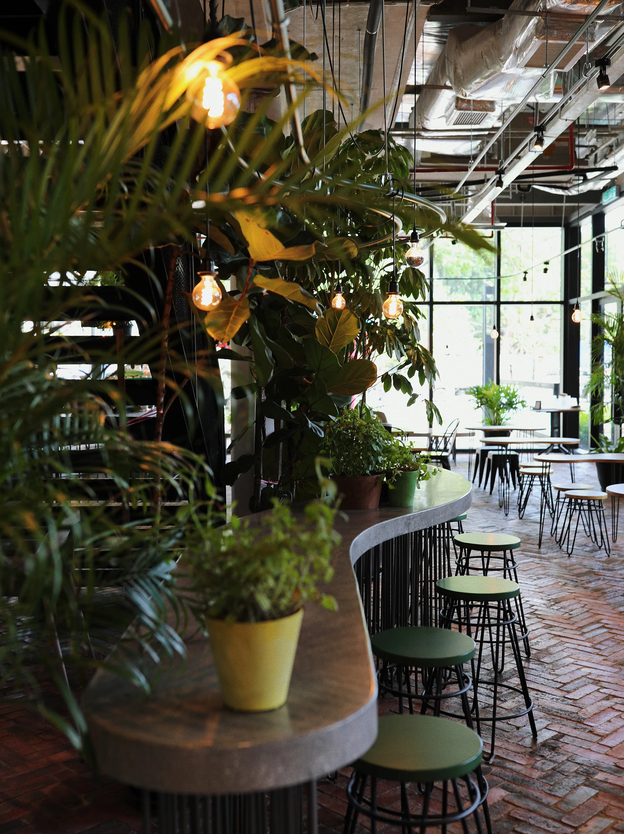 Bean Brothers – The Linc KL